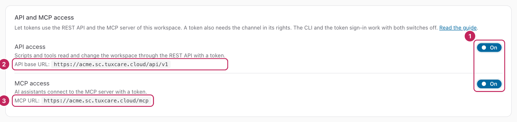 The section API and MCP access of the Settings page, with both switches on.