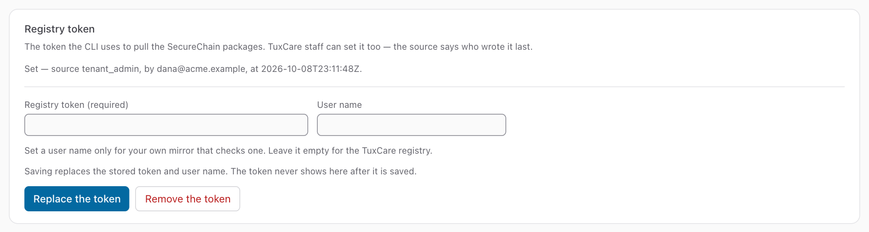 The section Registry token of the Settings page. It shows who saved the token and when.